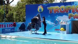 Tropicarium Park