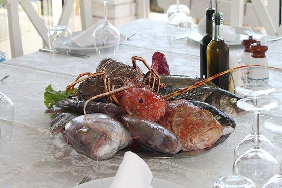 Bar - Restorant Sardi
