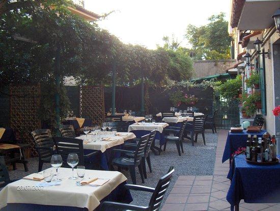 Al Toscano