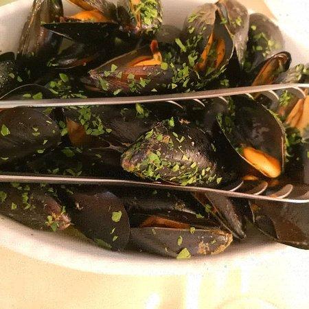 Il Nodo del Pescatore