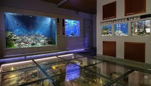 Acquario di Pirano