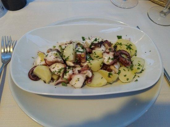 SaleSciocco