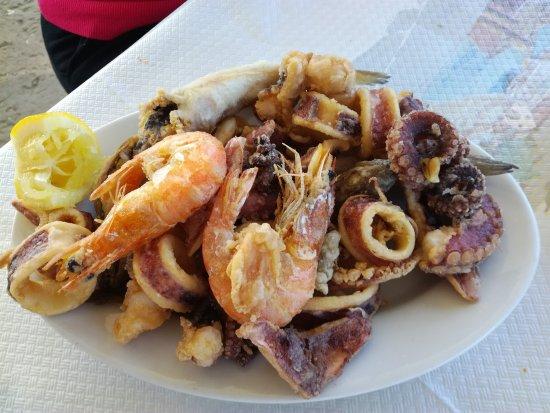 L'oasi del riccio