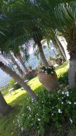 Villa Araucaria