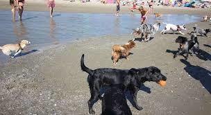 Bagno Overbeach