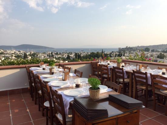 El Vino Restaurant