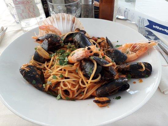 Gabbiano 2