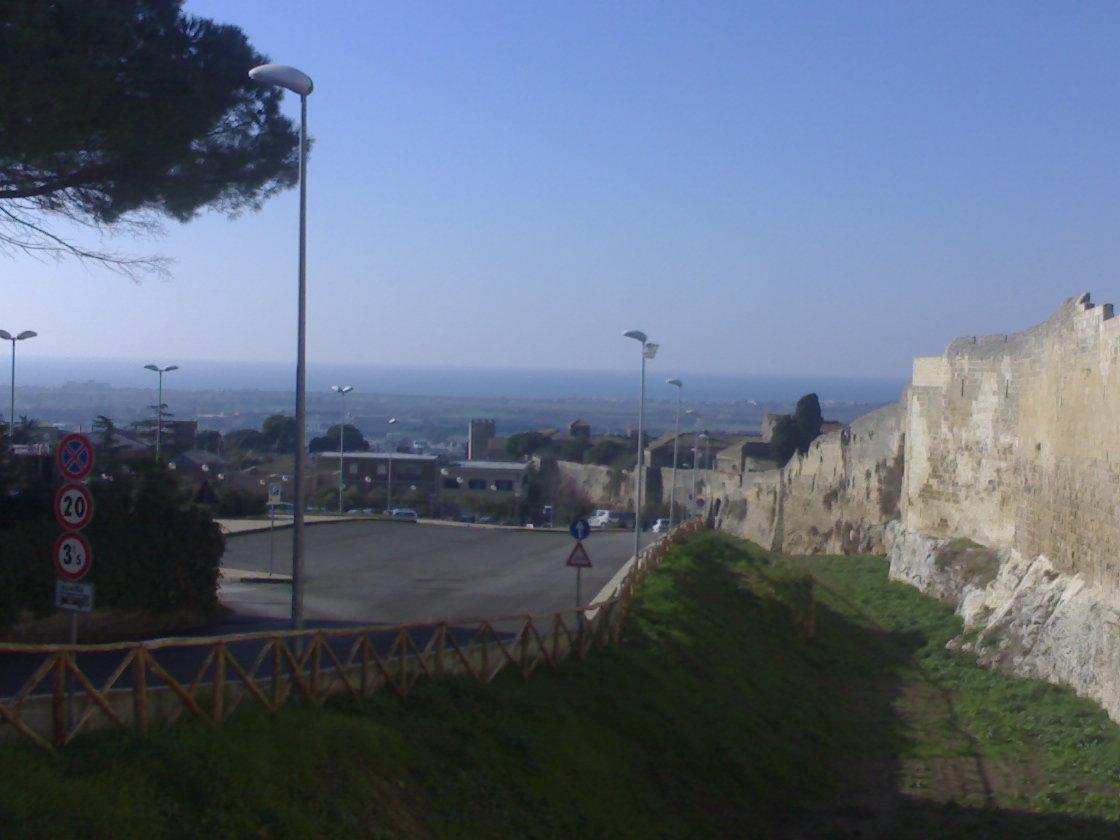 Gravisca