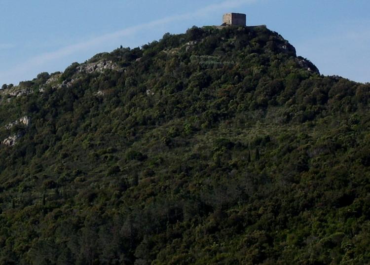 Torre dell'Avvoltore