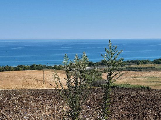 Spiaggia Marina