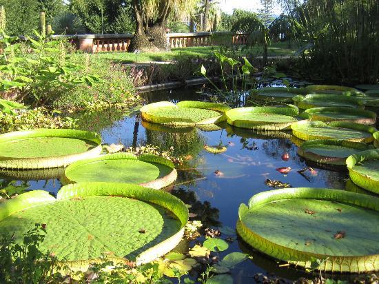 Val Rahmeh-Menton Botanical Garden