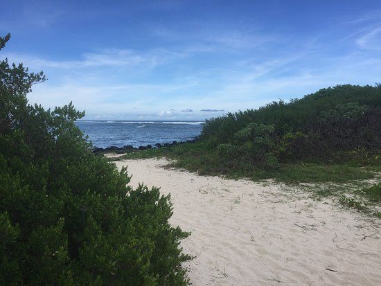 Spiaggia di Palmar