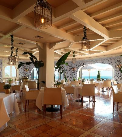 Il Pellicano