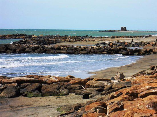 Monumento Naturale Palude di Torre Flavia