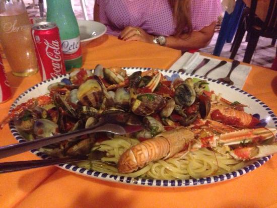 Ippocampo
